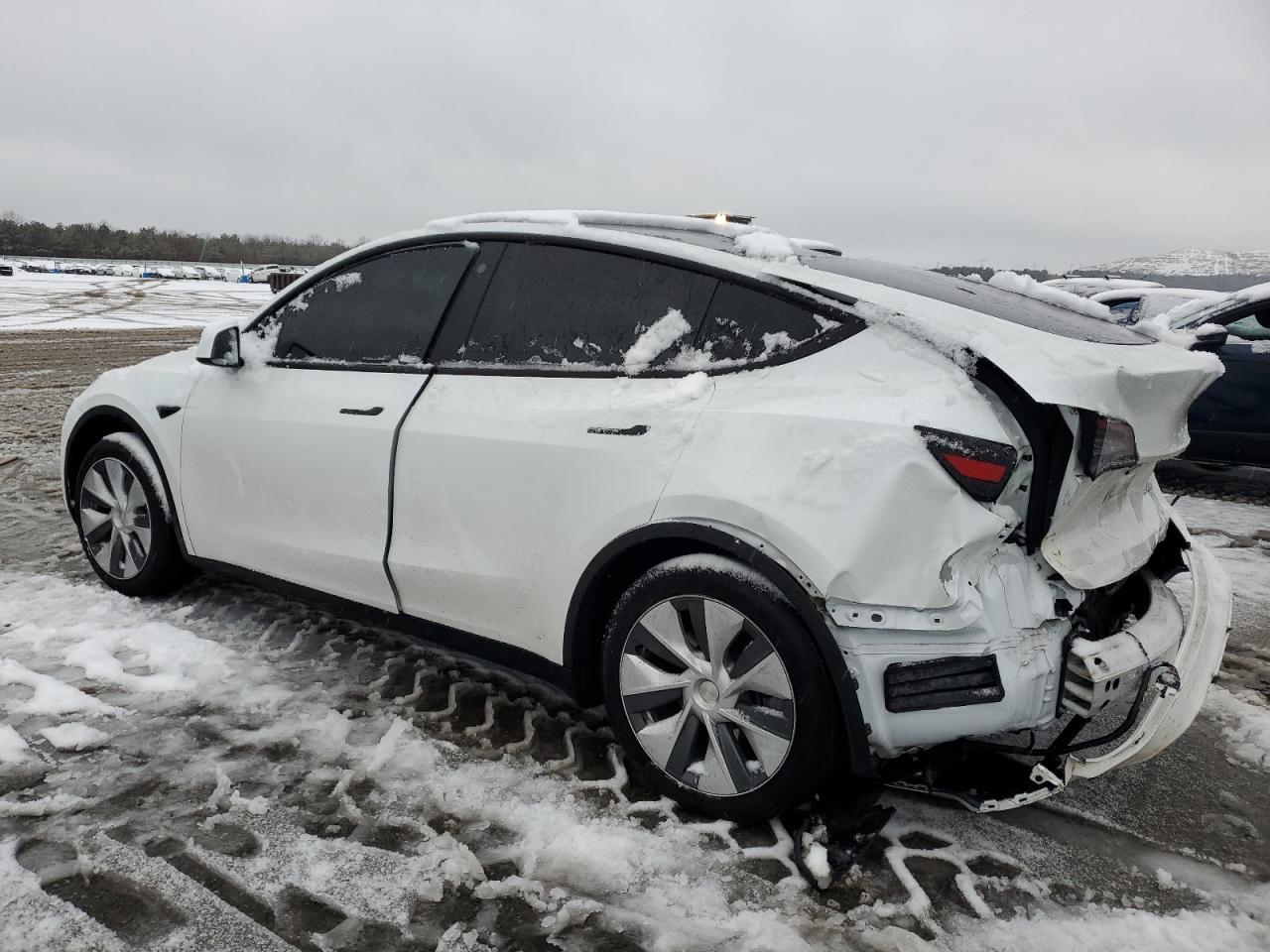 2023 TESLA MODEL Y  VIN:7SAYGDEE5PA035736