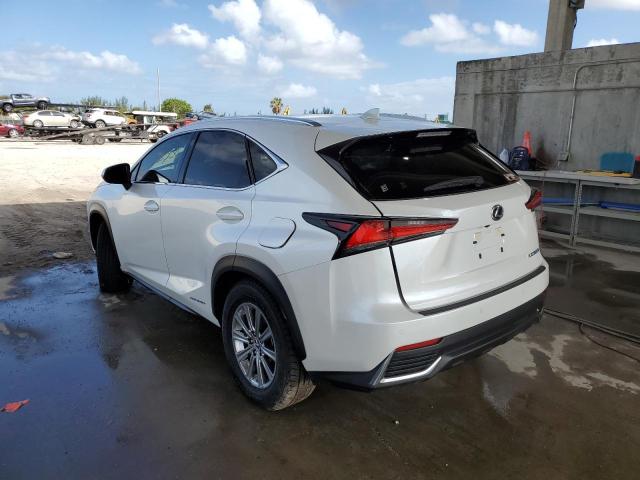 2021 LEXUS NX 300H BASE VIN: JTJDJRDZ5M5011867