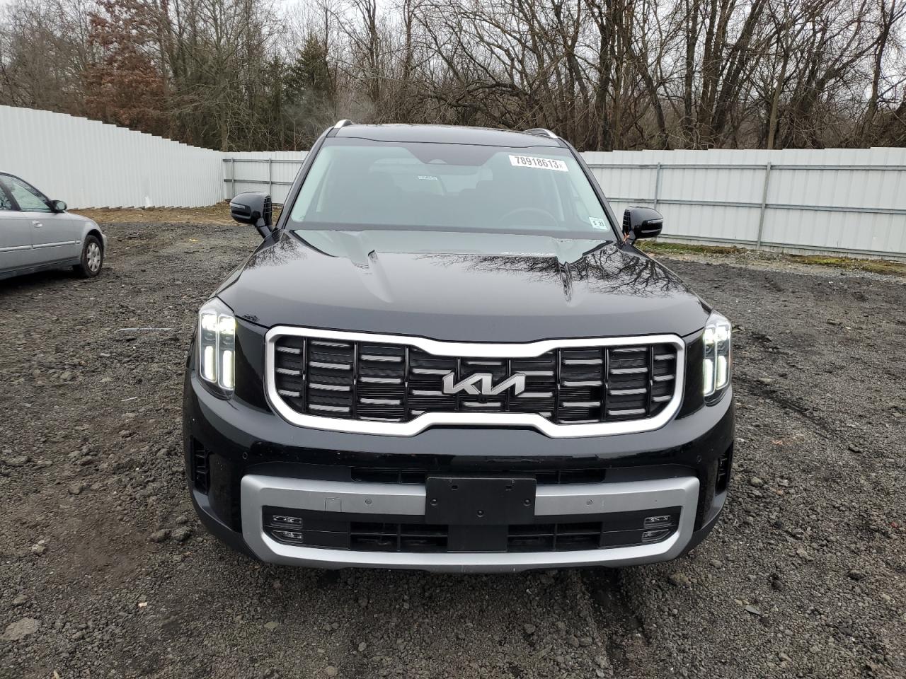 2023 KIA TELLURIDE SX VIN:5XYP5DGCXPG398149