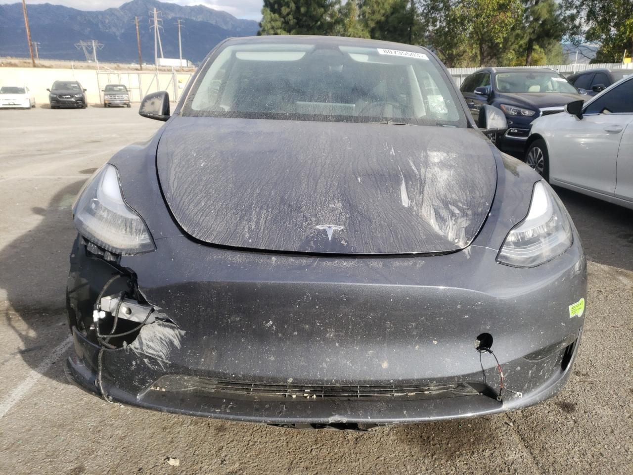 2023 TESLA MODEL Y  VIN:7SAYGDEE6PA089188