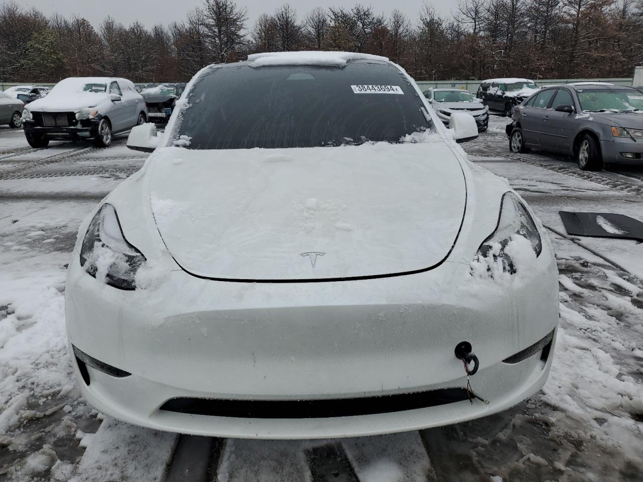 2023 TESLA MODEL Y  VIN:7SAYGDEE5PA035736