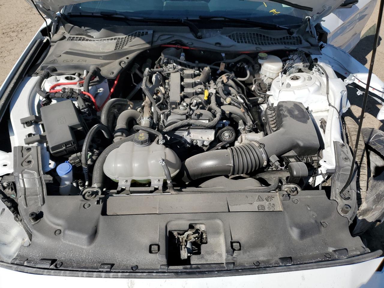 2023 FORD MUSTANG  VIN:1FA6P8TH3P5101087