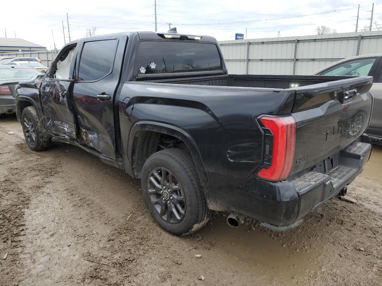 2023 TOYOTA TUNDRA CREWMAX PLATINUM VIN:5TFNA5DB9PX084932