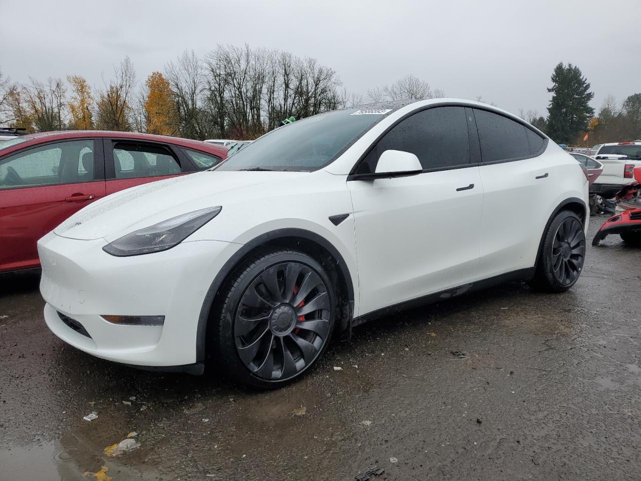 2022 TESLA MODEL Y  VIN:7SAYGDEF4NF463984