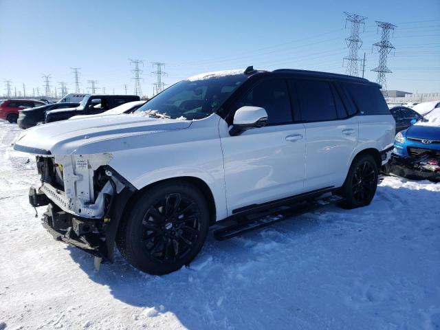 2021 CADILLAC ESCALADE SPORT PLATINUM VIN: 1GYS4GKL1MR388400