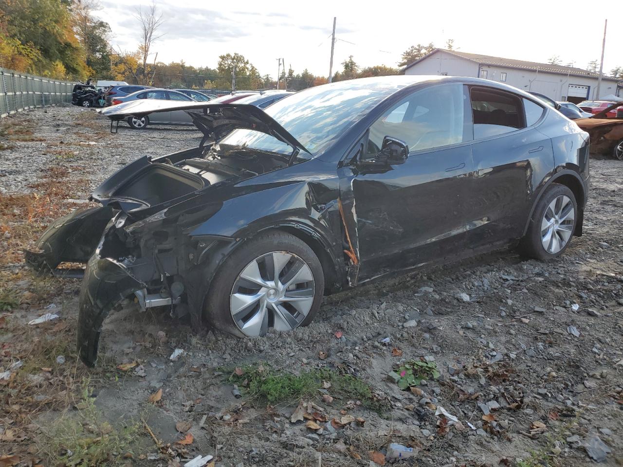 2023 TESLA MODEL Y  VIN:7SAYGDEE9PA100359