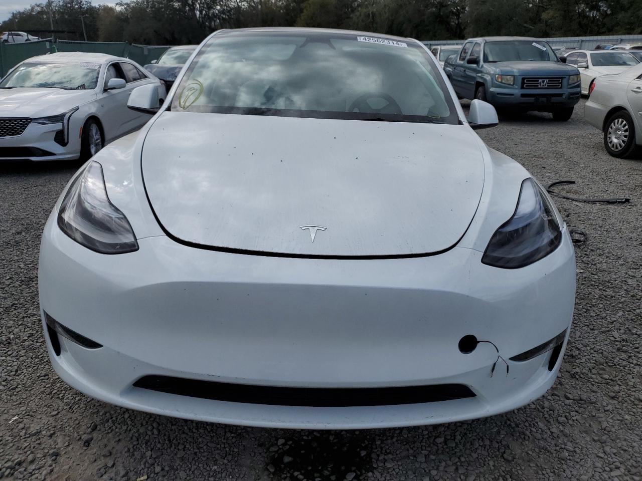 2023 TESLA MODEL Y  VIN:7SAYGDEE0PA205291