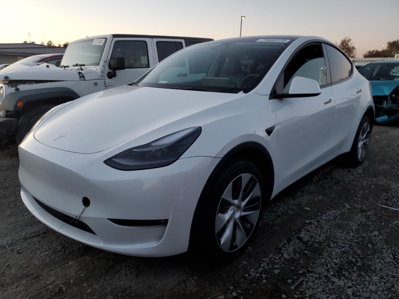 2023 TESLA MODEL Y  VIN:7SAYGDEE6PF748499