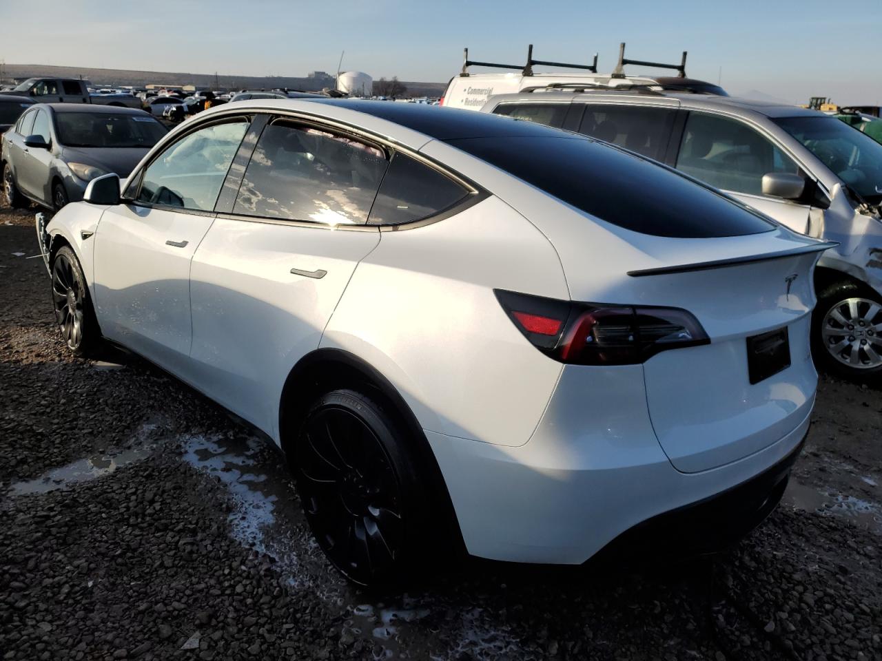 2023 TESLA MODEL Y  VIN:7SAYGDEF3PF591703