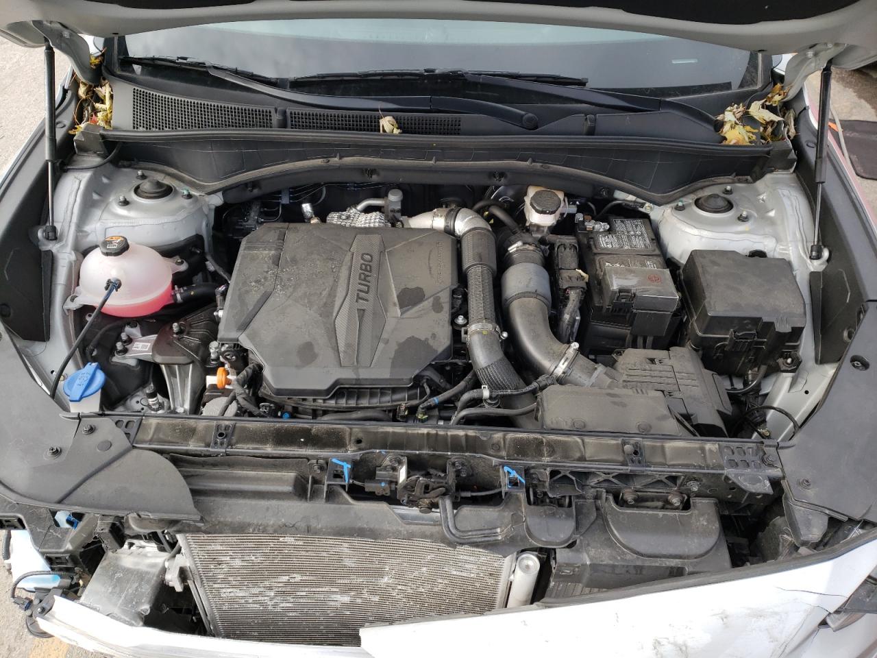 2023 HYUNDAI SANTA FE LIMITED VIN:5NMS4DAL5PH561785