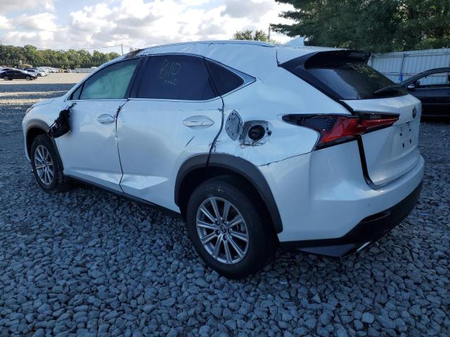 2021 LEXUS NX 300 BASE VIN: JTJDARDZ1M5026446