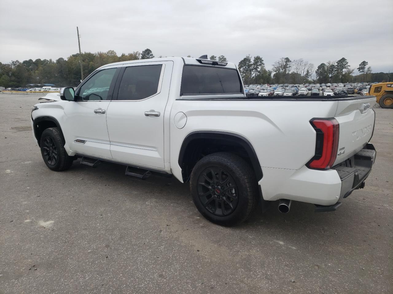 2023 TOYOTA TUNDRA CREWMAX PLATINUM VIN:5TFMC5DB0PX025404