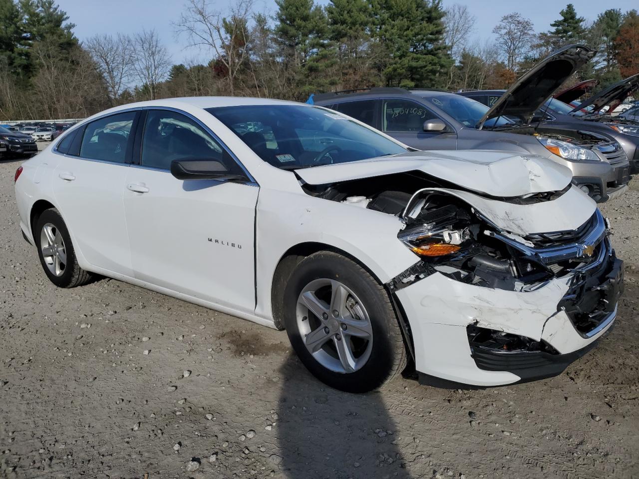 2023 CHEVROLET MALIBU LS VIN:1G1ZC5ST6PF159737