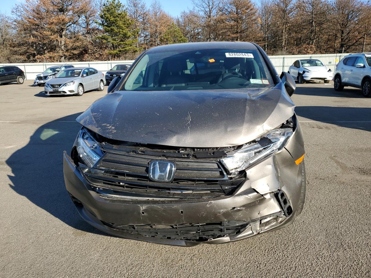 2023 HONDA ODYSSEY EXL VIN:5FNRL6H63PB011791