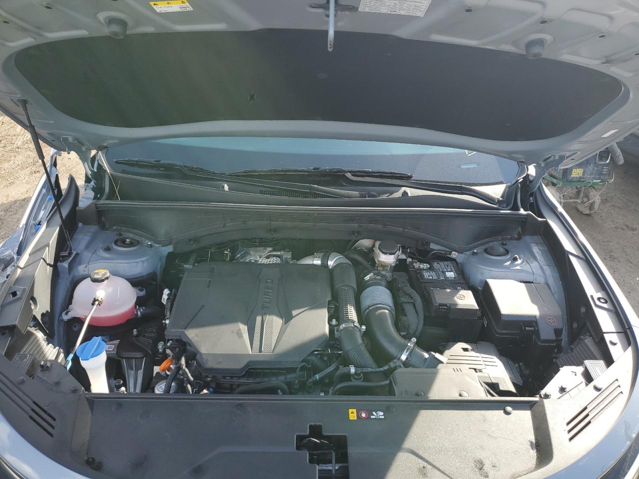 2023 KIA SORENTO SX VIN:5XYRKDLF1PG196284