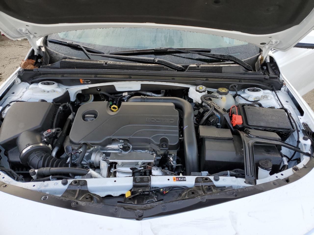 2023 CHEVROLET MALIBU LT VIN:1G1ZD5ST5PF183895