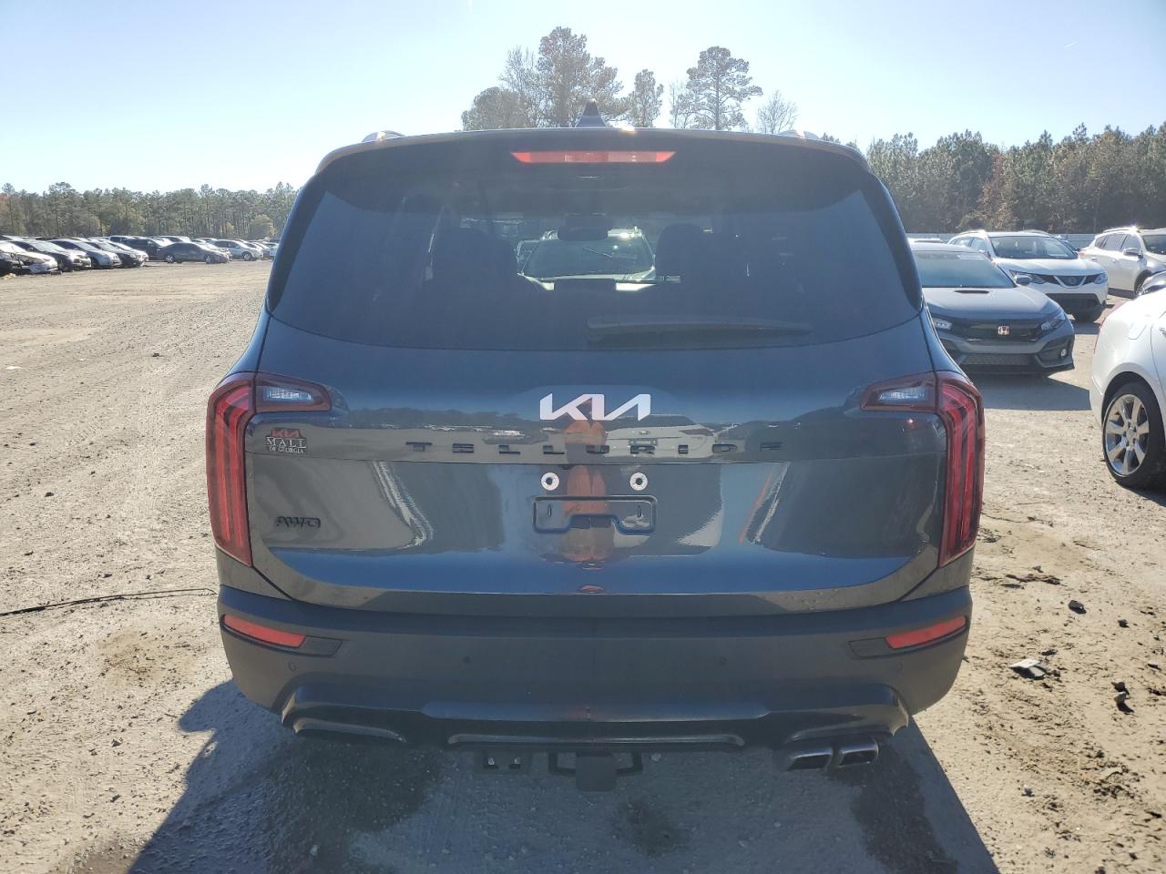 2022 KIA TELLURIDE SX VIN:5XYP5DHC9NG302944