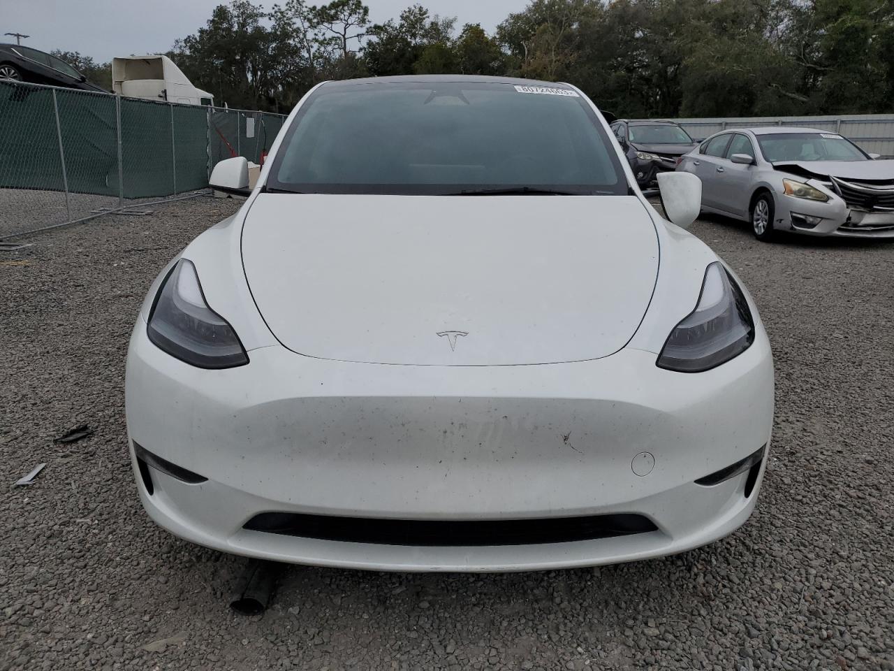 2023 TESLA MODEL Y  VIN:7SAYGAEE2PF798881