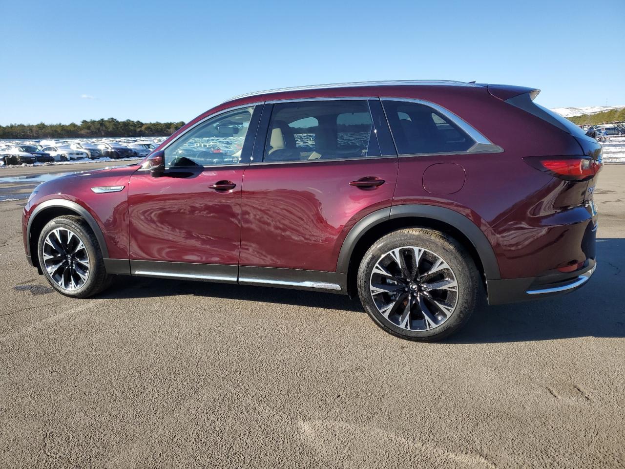 2024 MAZDA CX-90 PREMIUM PLUS VIN:JM3KKEHA8R1101329