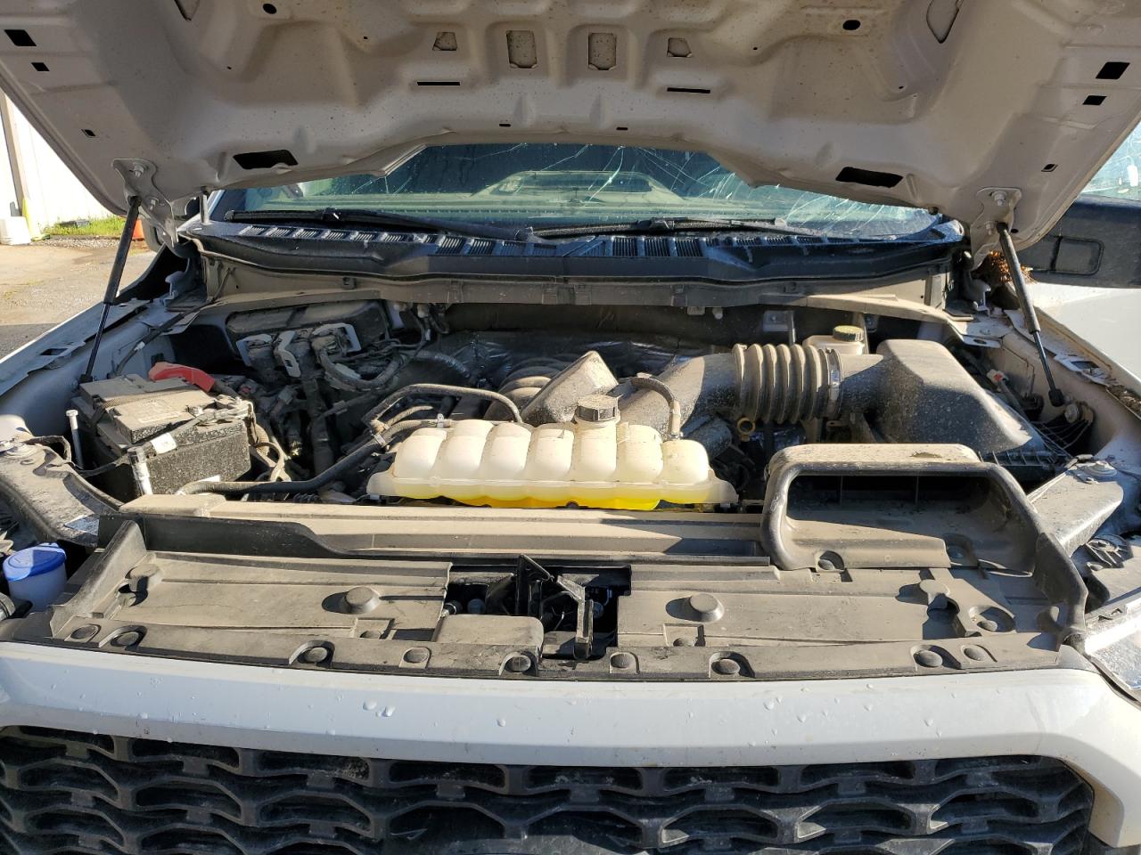 2023 FORD F150 SUPERCREW VIN:1FTFW1E58PKD29806