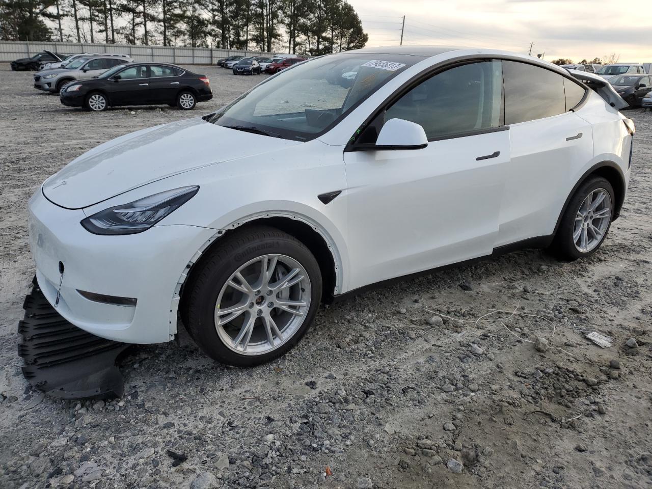 2023 TESLA MODEL Y  VIN:7SAYGDEE2PA097482