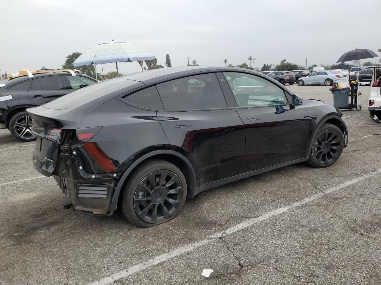 2023 TESLA MODEL Y  VIN:7SAYGDEE5PA025854