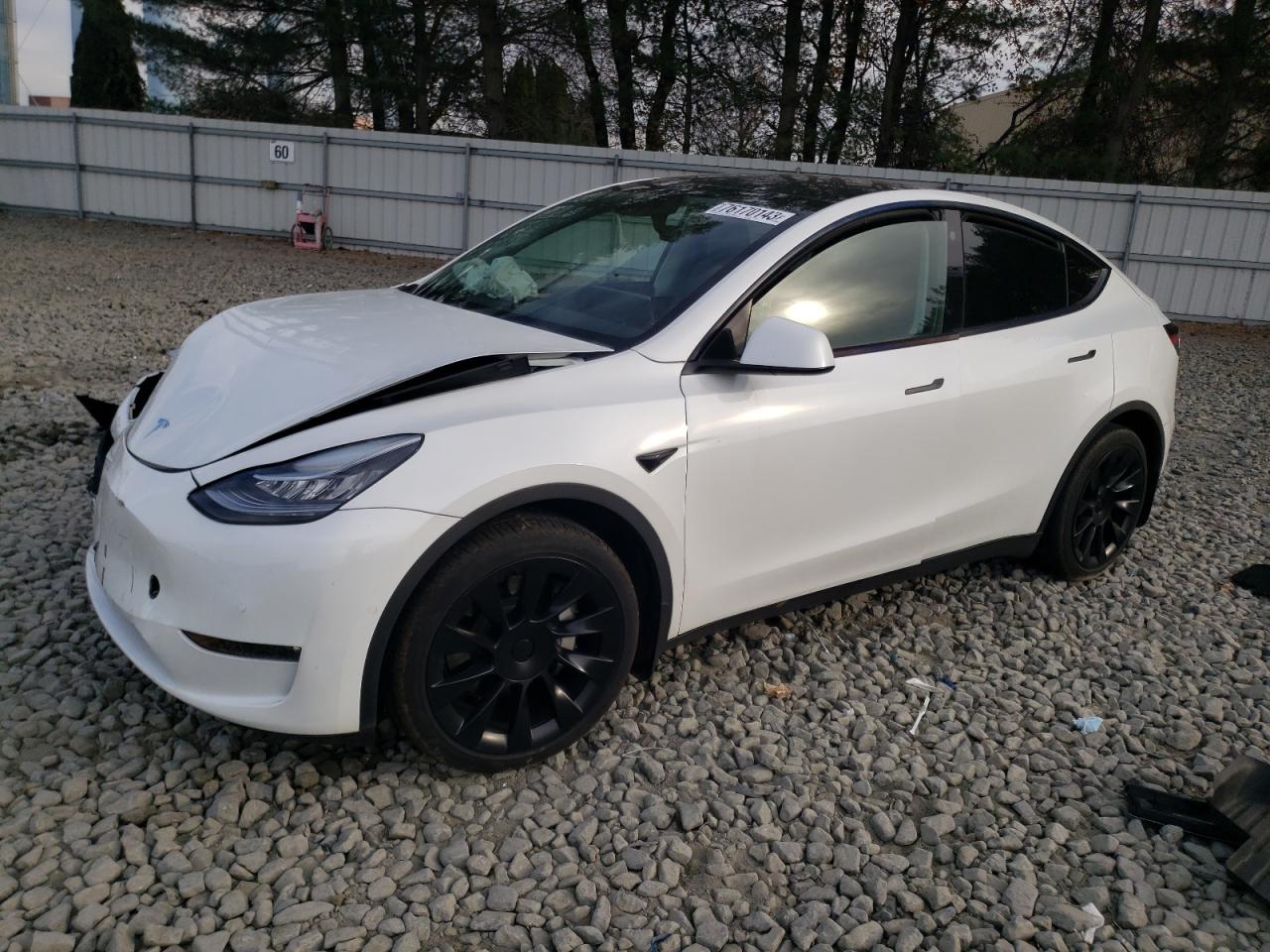 2022 TESLA MODEL Y  VIN:7SAYGDEE6NF373937