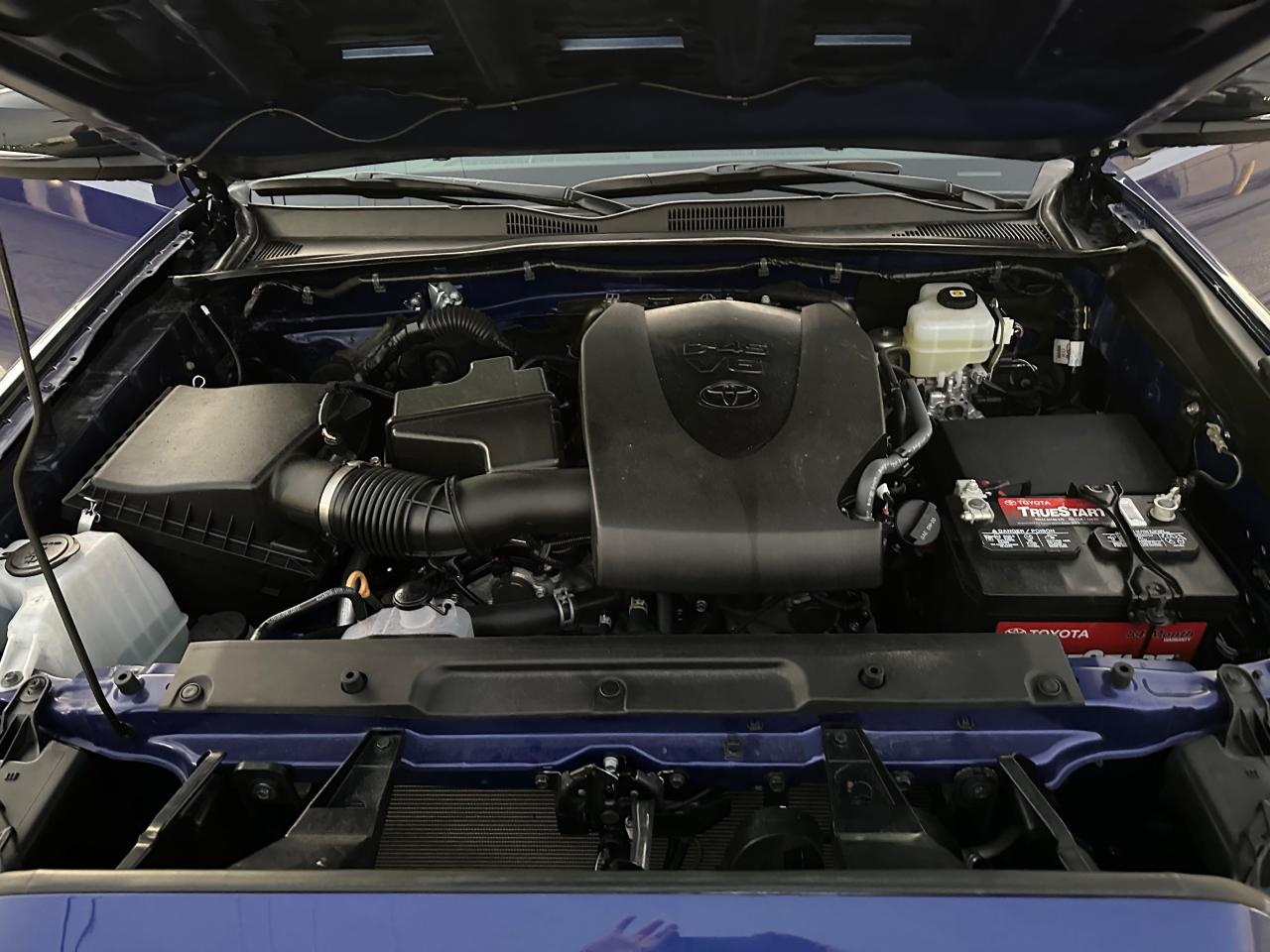 2023 TOYOTA TACOMA DOUBLE CAB VIN:3TMCZ5AN9PM549486