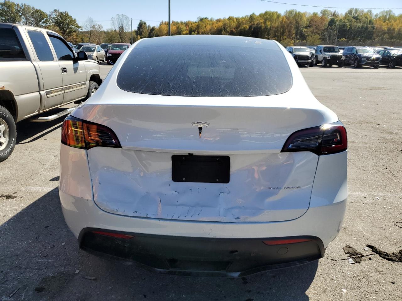 2023 TESLA MODEL Y  VIN:7SAYGDEE8PF668783