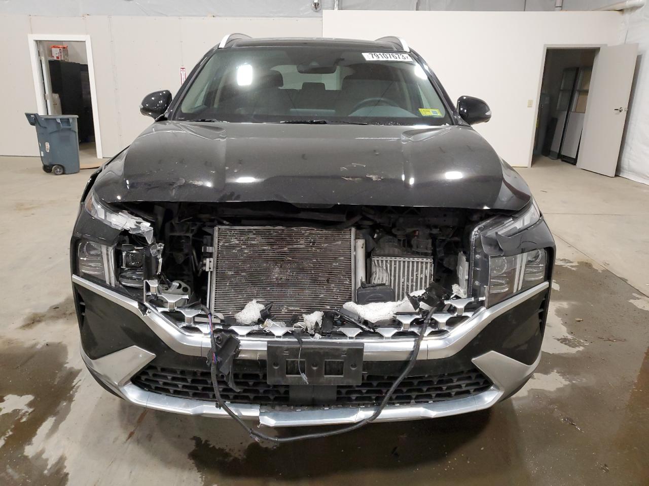 2023 HYUNDAI SANTA FE LIMITED VIN:5NMS5DA11PH002388
