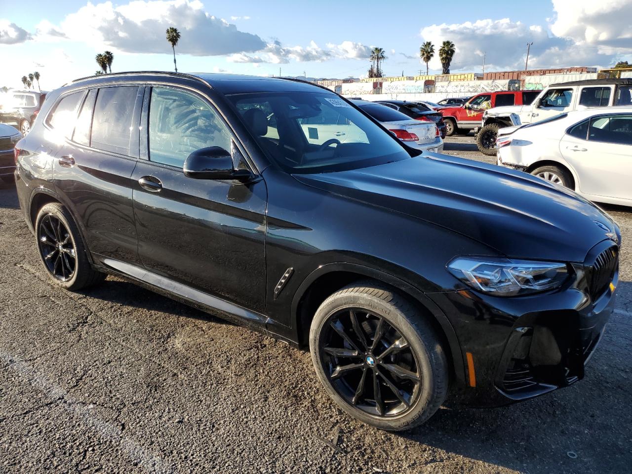 2023 BMW X3 SDRIVE30I VIN:5UX43DP05P9N62986