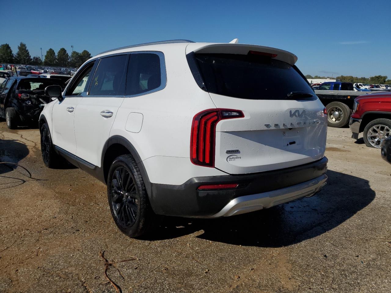 2022 KIA TELLURIDE SX VIN:5XYP5DHC4NG195608