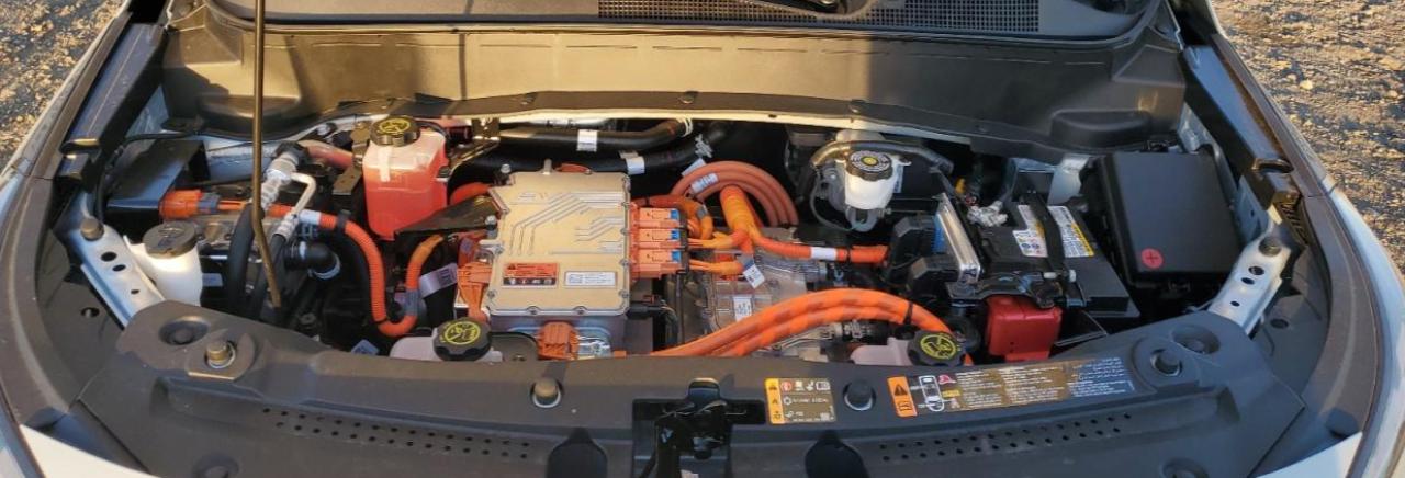 2023 CHEVROLET BOLT EUV PREMIER VIN:1G1FZ6S03P4194664