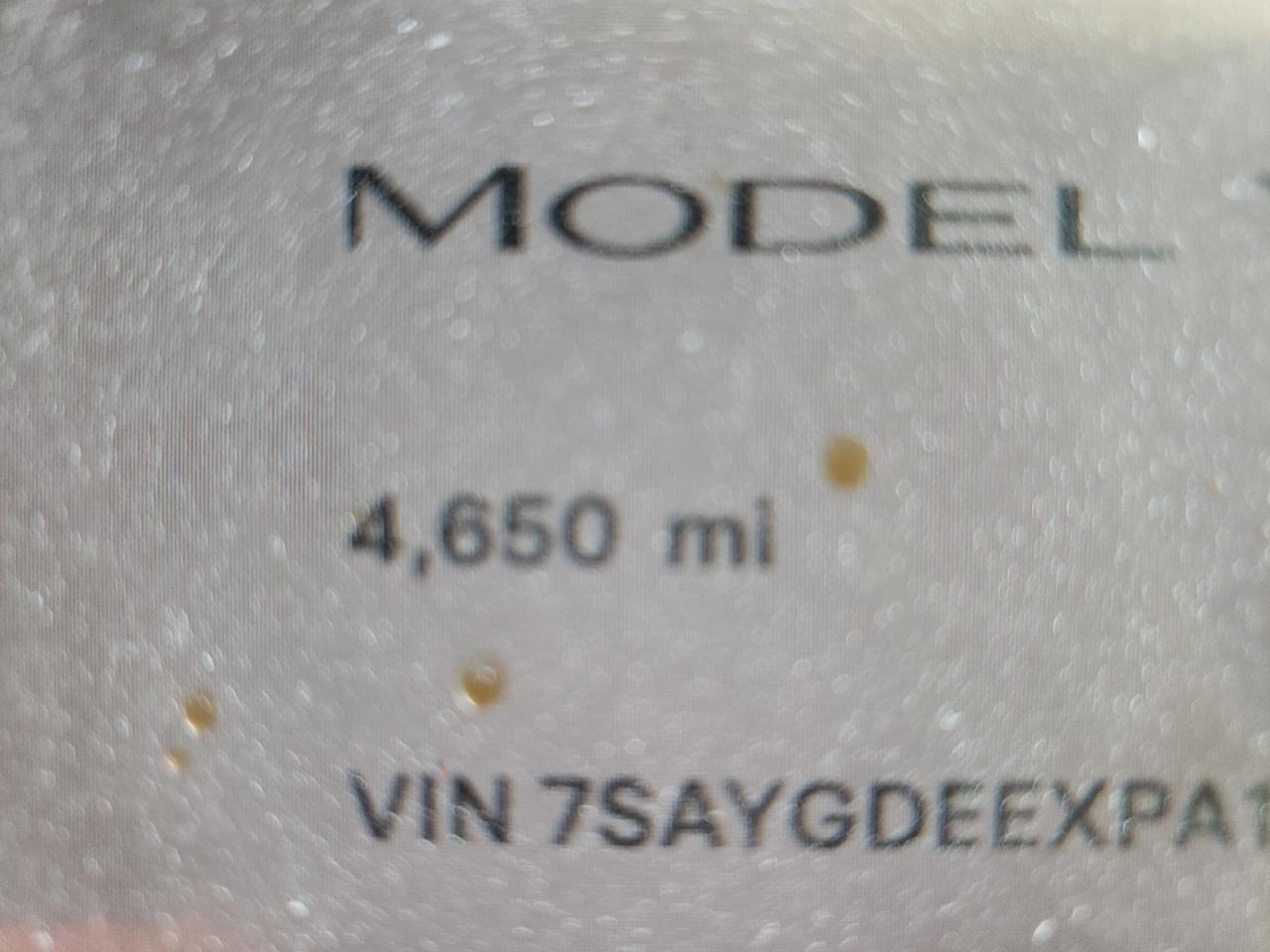 2023 TESLA MODEL Y  VIN:7SAYGDEEXPA167004