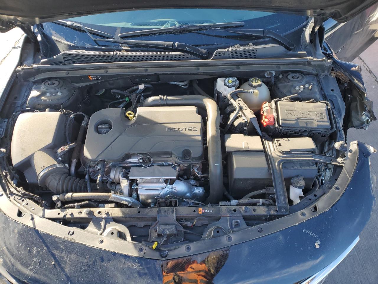 2023 CHEVROLET MALIBU LS VIN:1G1ZB5ST3PF116296