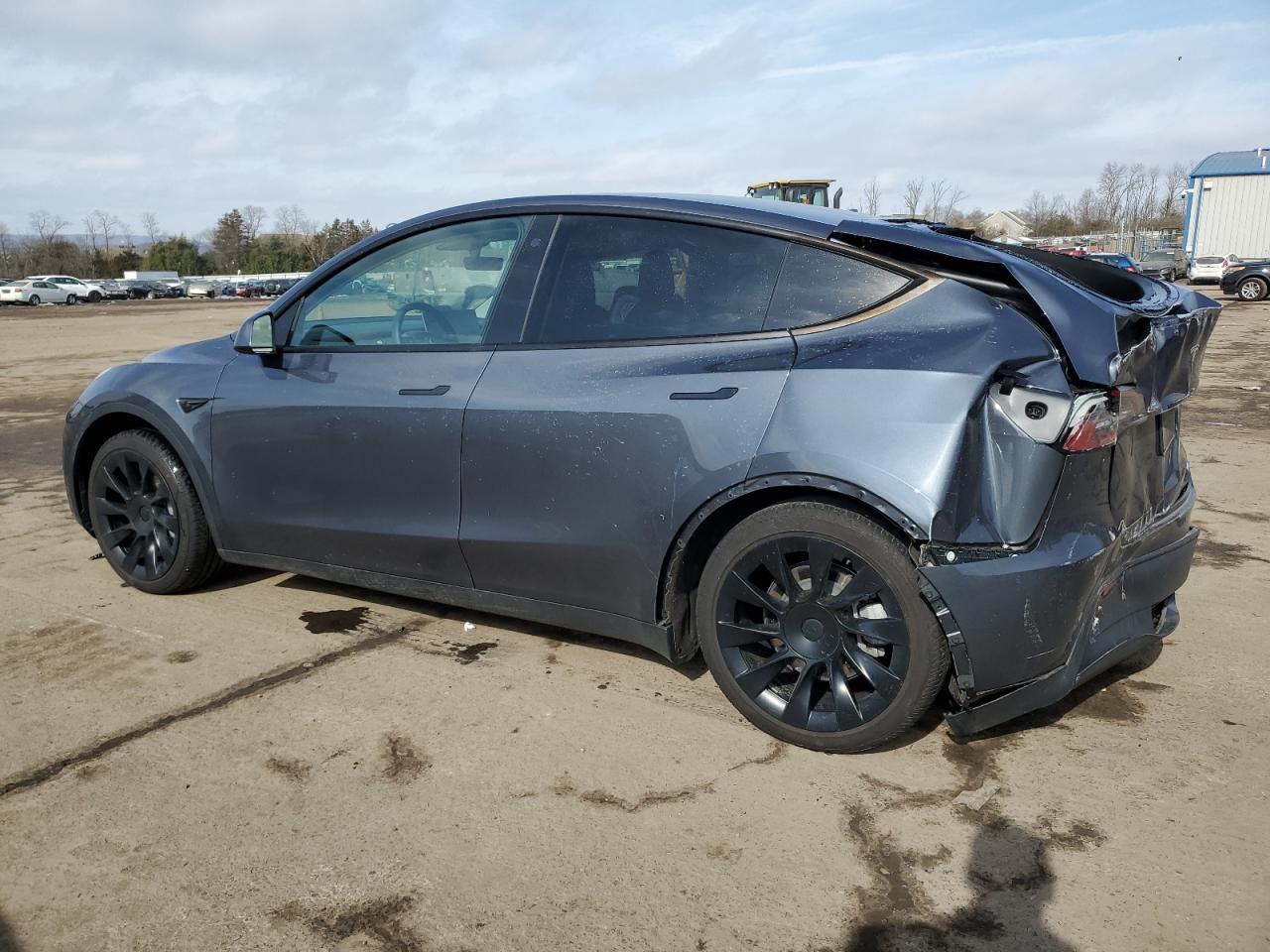 2023 TESLA MODEL Y  VIN:7SAYGAEE3PF635074