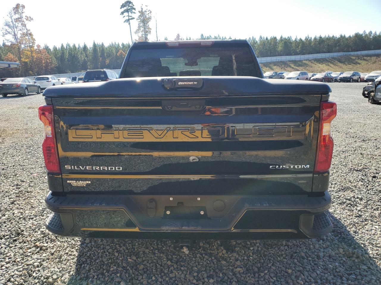 2022 CHEVROLET SILVERADO K1500 CUSTOM VIN:1GCPDBEK0NZ576165
