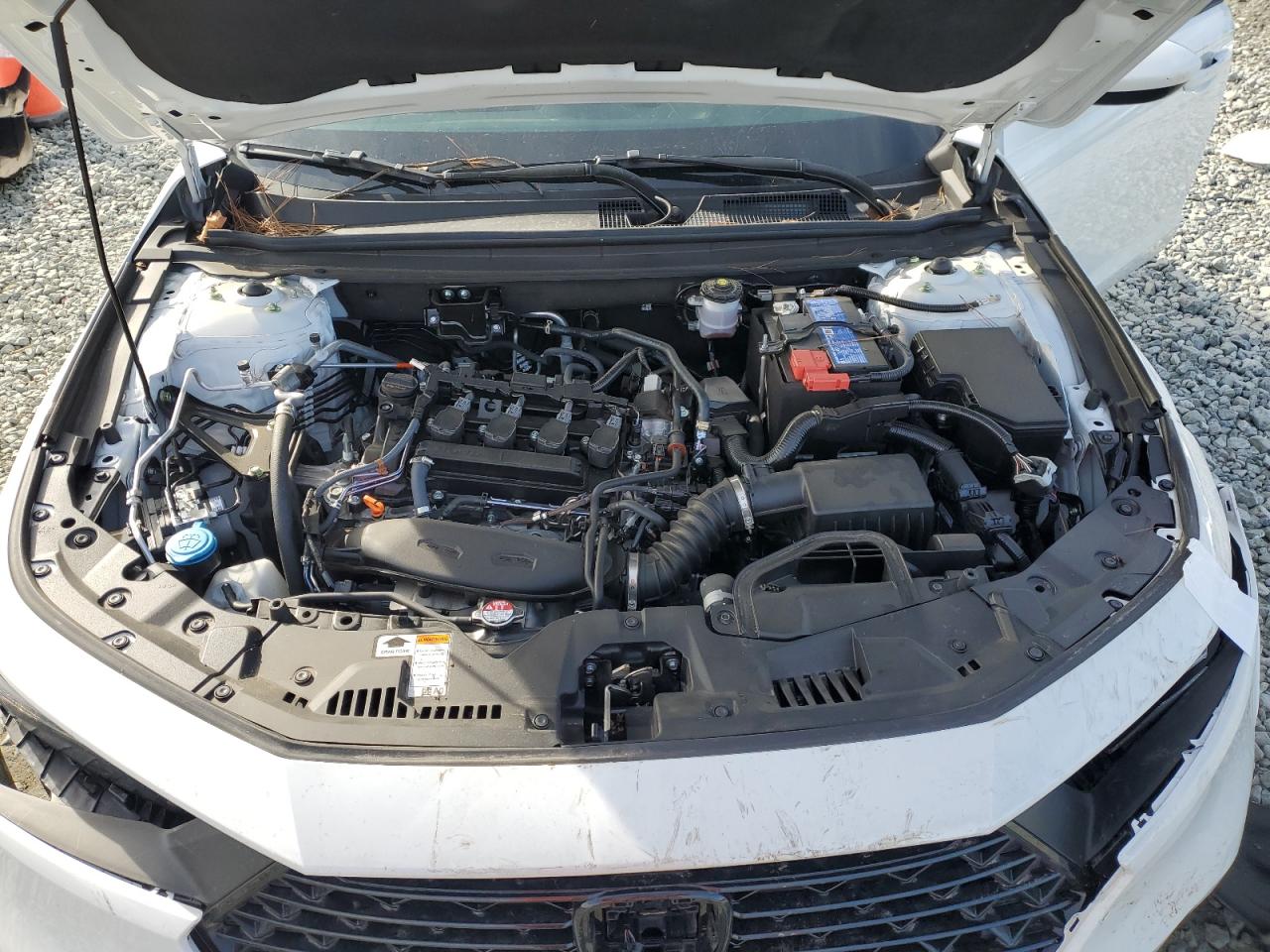 2023 HONDA ACCORD EX VIN:1HGCY1F31PA035472