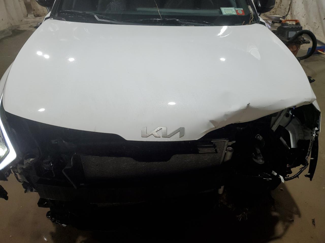 2023 KIA SPORTAGE X LINE VIN:5XYK6CAF6PG049090