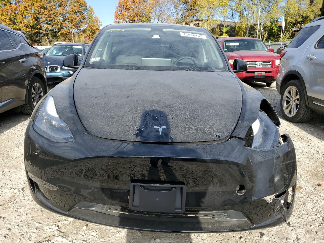 2023 TESLA MODEL Y  VIN:7SAYGDEE2PF859177