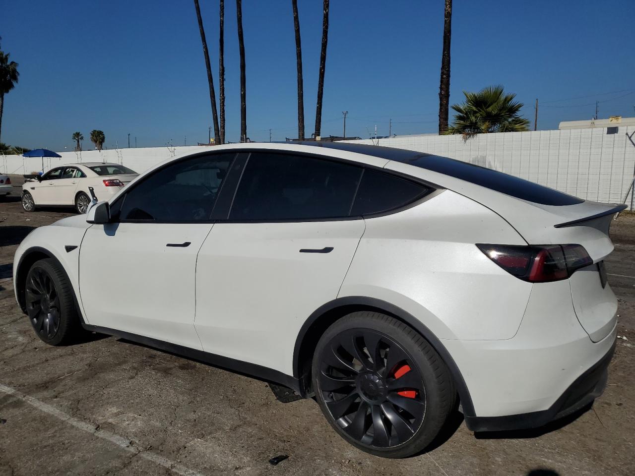 2022 TESLA MODEL Y  VIN:7SAYGDEF4NF552082