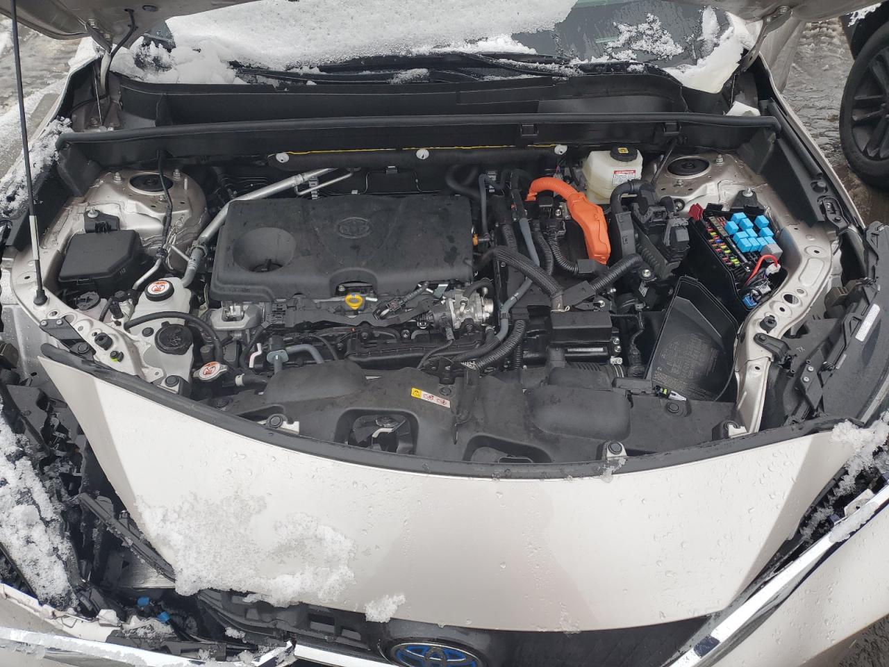 2023 TOYOTA VENZA LE VIN:JTEAAAAH2PJ129806