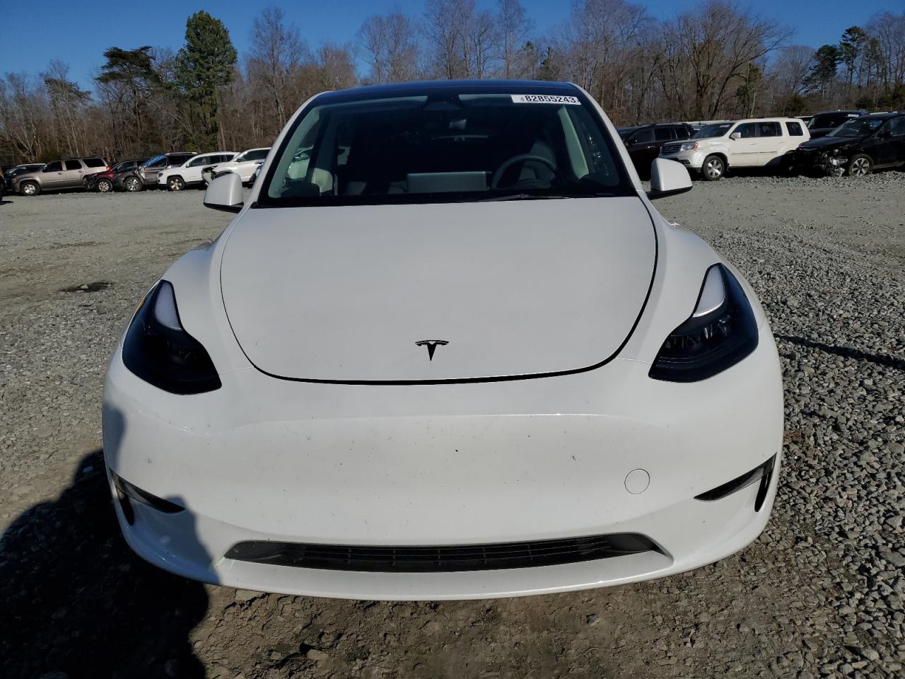 2023 TESLA MODEL Y  VIN:7SAYGDEE4PF675973