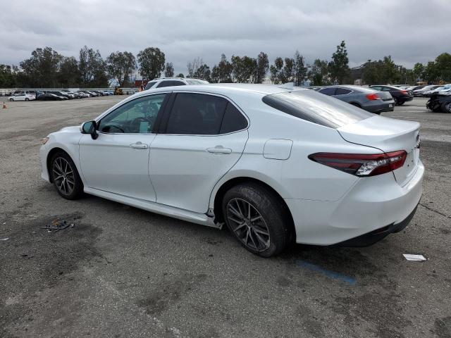 2021 TOYOTA CAMRY XLE VIN: 4T1F11AK6MU609195