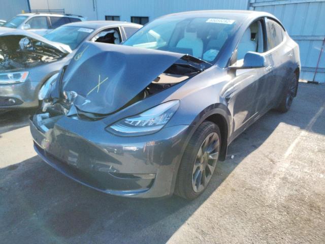 2021 TESLA MODEL Y VIN: 5YJYGDEE0MF281167