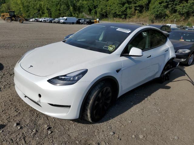 2021 TESLA MODEL Y VIN: 5YJYGDEE1MF254690