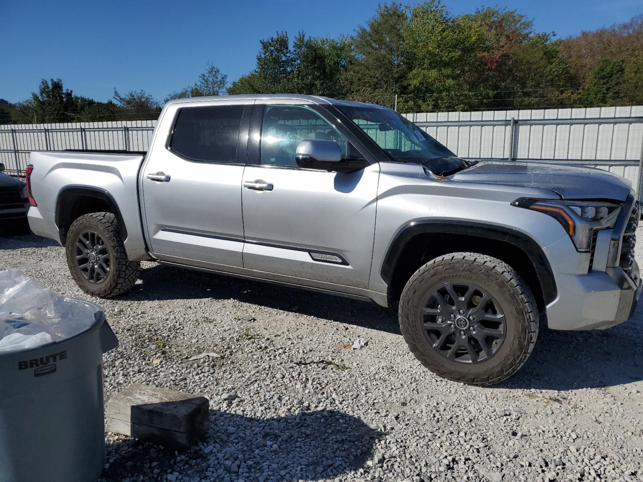 2023 TOYOTA TUNDRA CREWMAX PLATINUM VIN:5TFNA5DBXPX094773