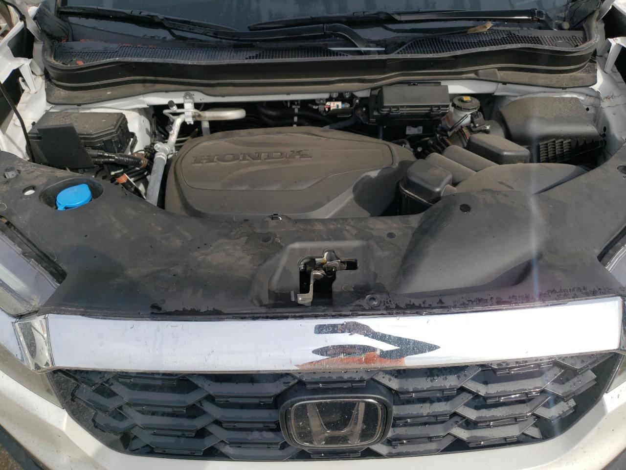 2023 HONDA PASSPORT EXL VIN:5FNYF8H52PB011822