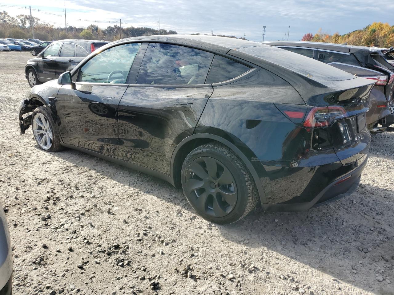 2023 TESLA MODEL Y  VIN:7SAYGDEE2PF859177