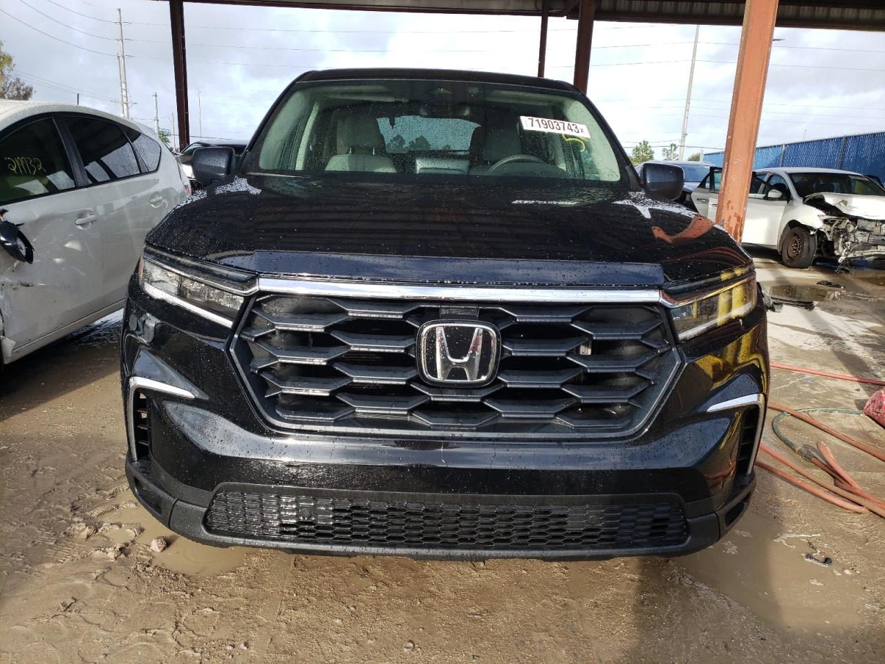 2023 HONDA PILOT LX VIN:5FNYG1H29PB026618